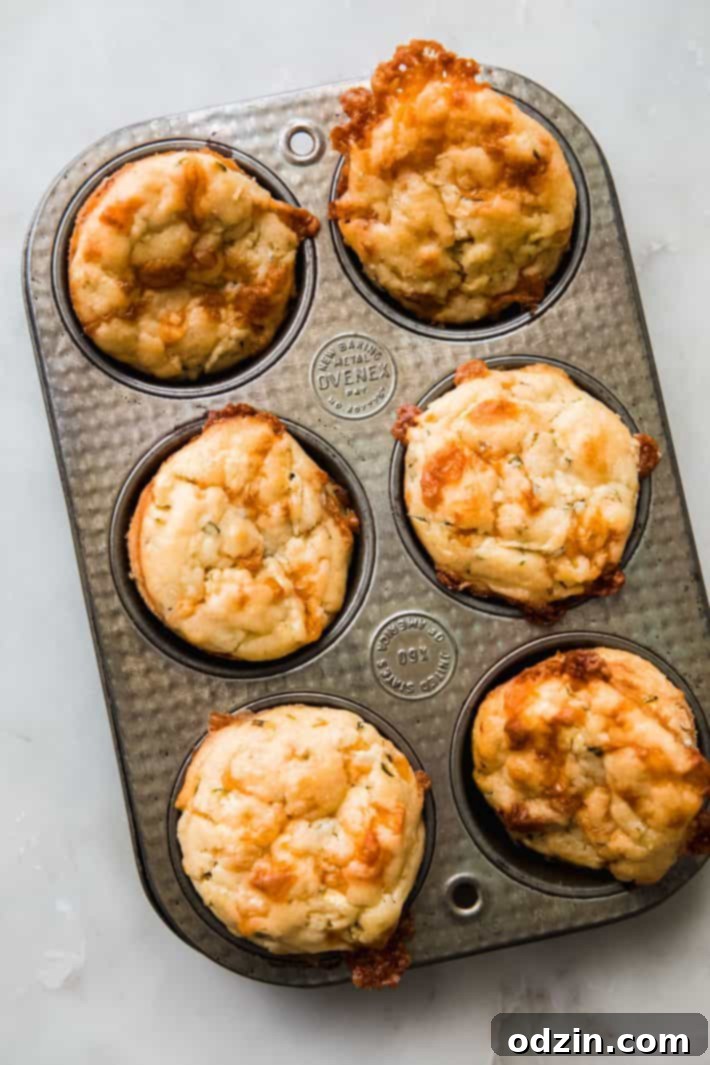 baked muffins in tin pan