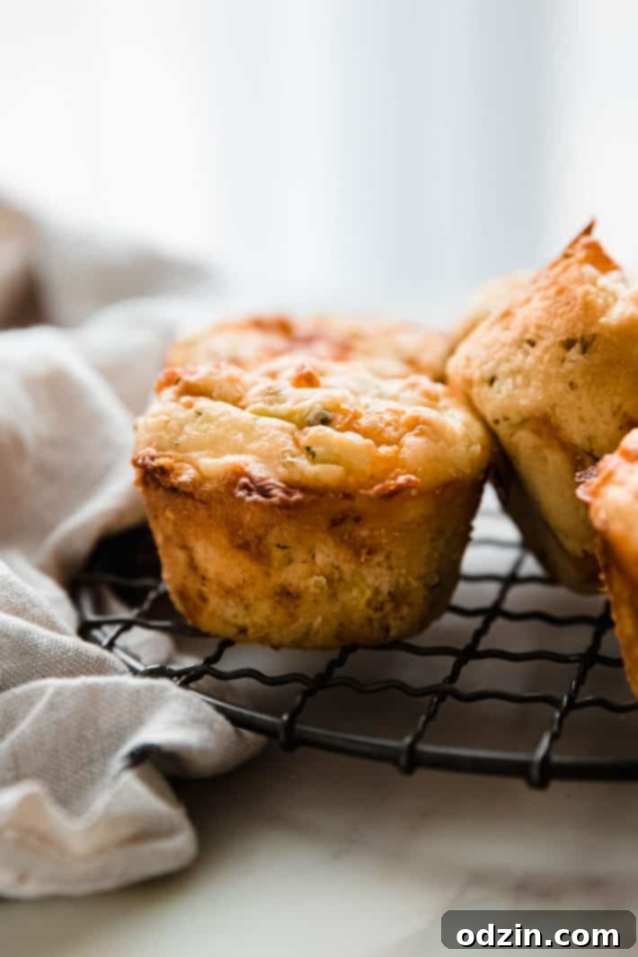 savory zucchini muffins in wire rack