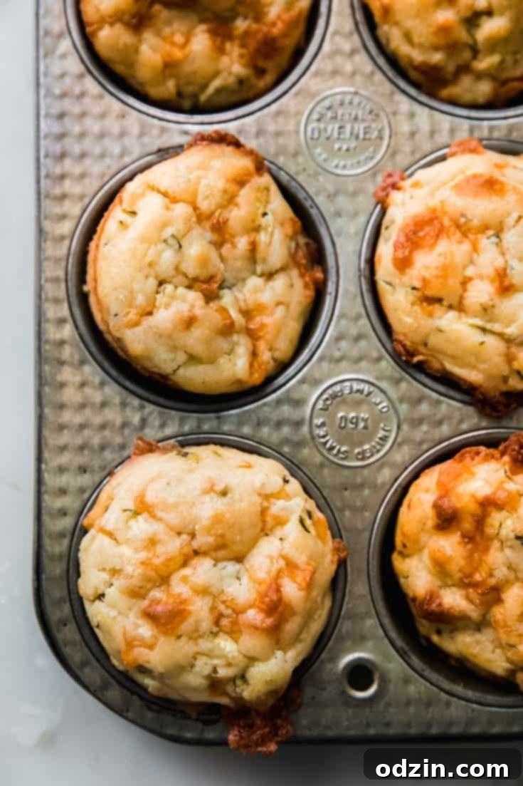 Savory Zucchini Muffins with Cheddar Cheese