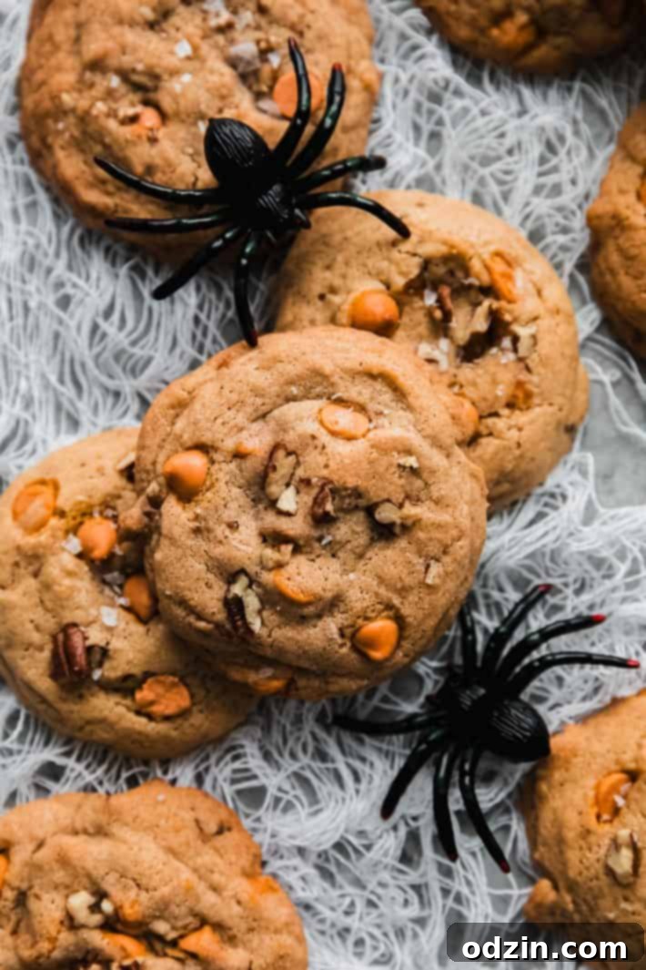 Harry Potter Butterbeer Cookies arranged on a faux spider web with plastic spiders, ideal for Halloween
