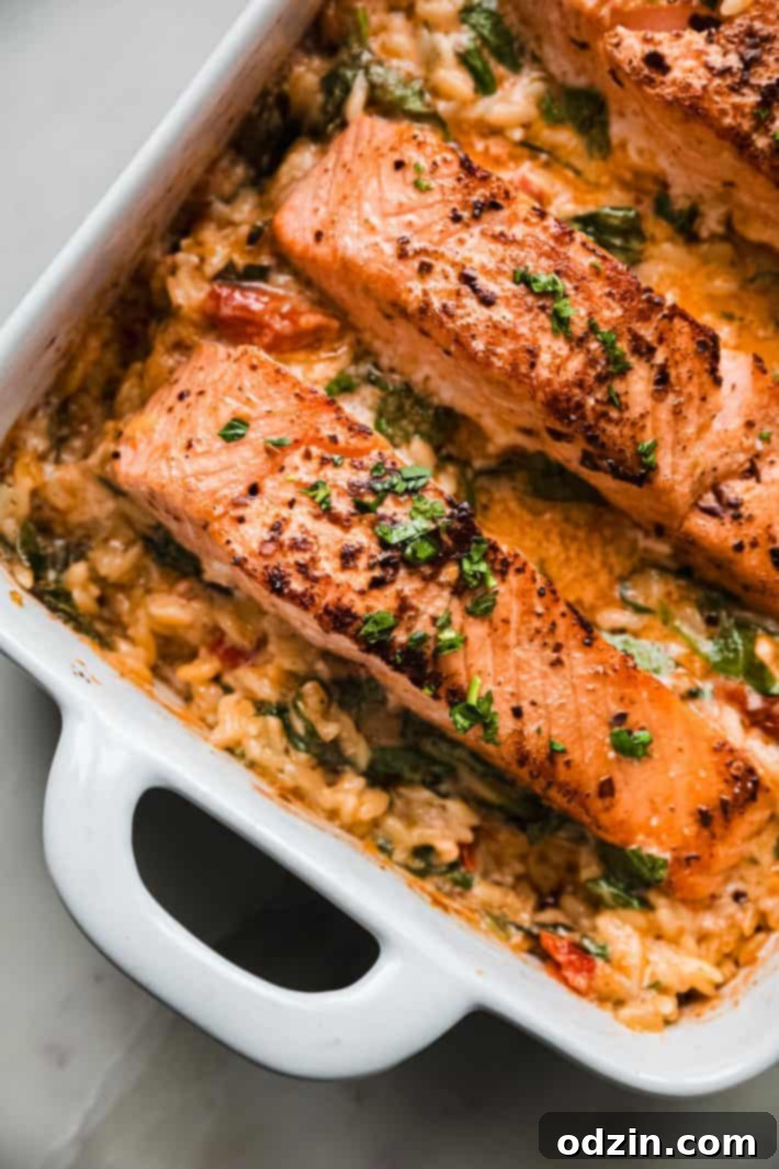 salmon over orzo in baking dish