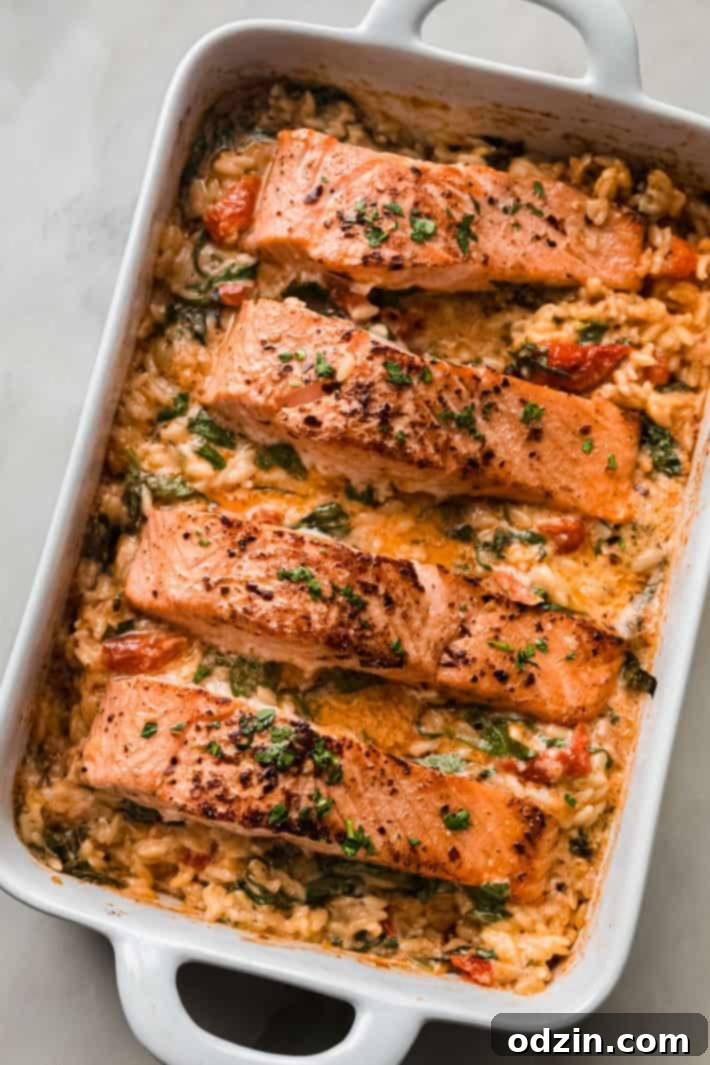 baked salmon on orzo 