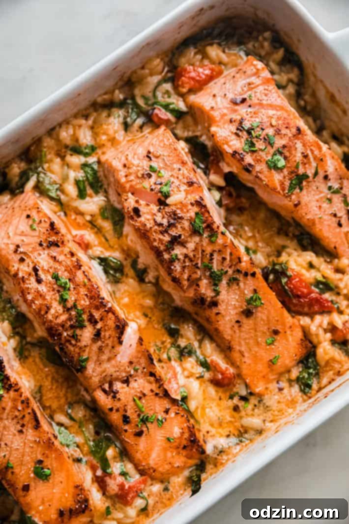 salmon with parsley over orzo in baking dish