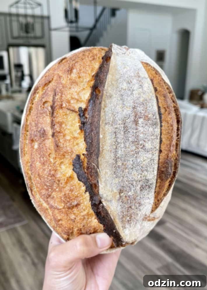 sourdough bread in the kitchen