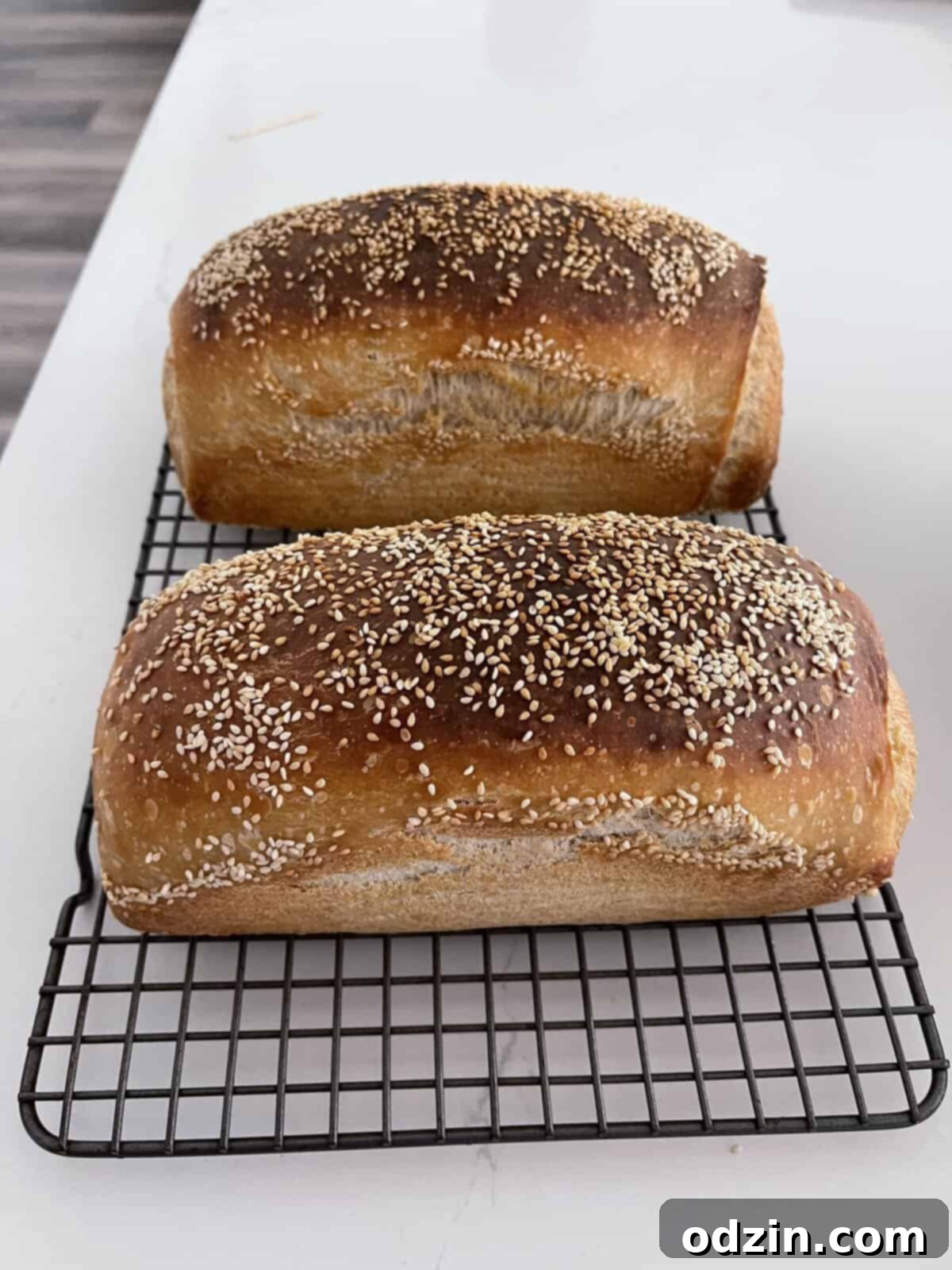 two loaves of sourdough bread on counter