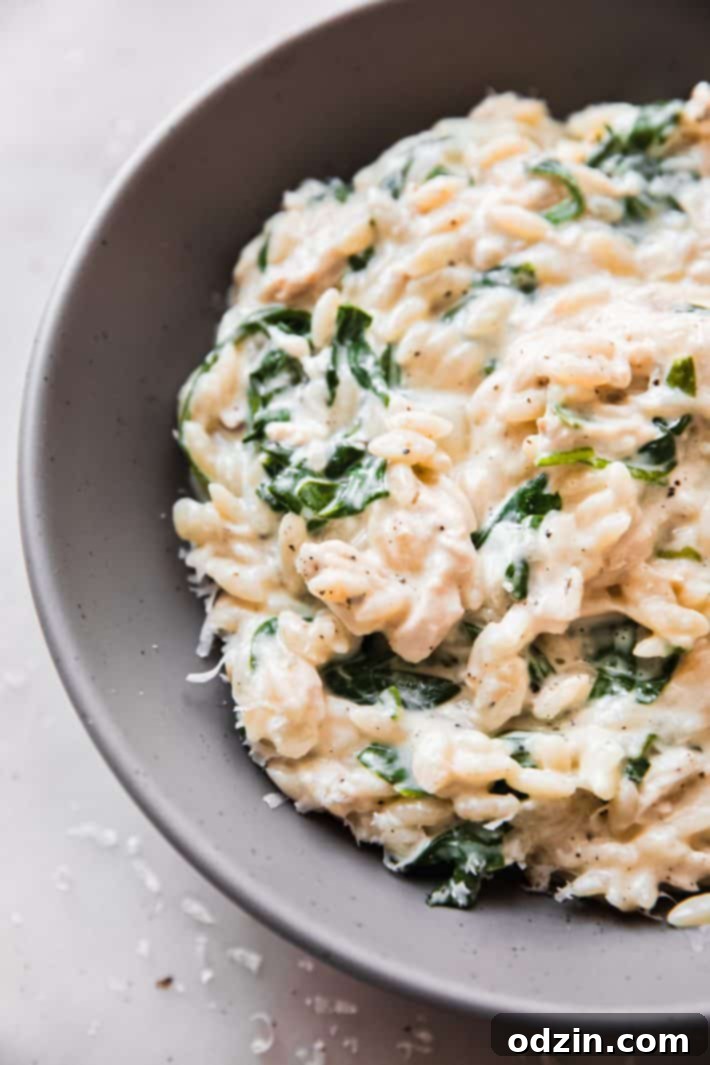 Creamy Boursin Orzo Pasta with fresh baby spinach in a bowl, ready to serve.