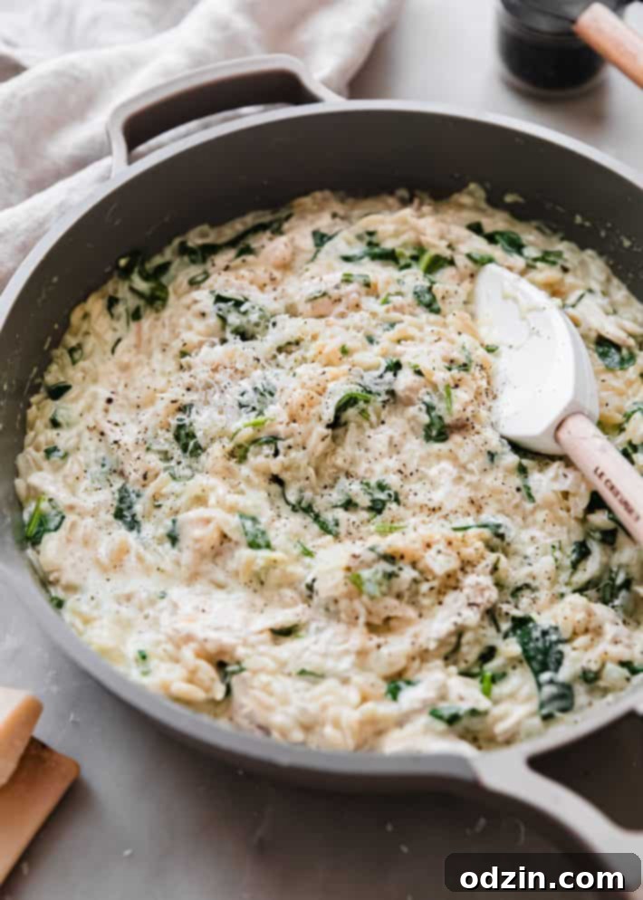 Boursin Orzo Risotto in a pan, garnished with freshly ground black pepper and grated Parmesan cheese.
