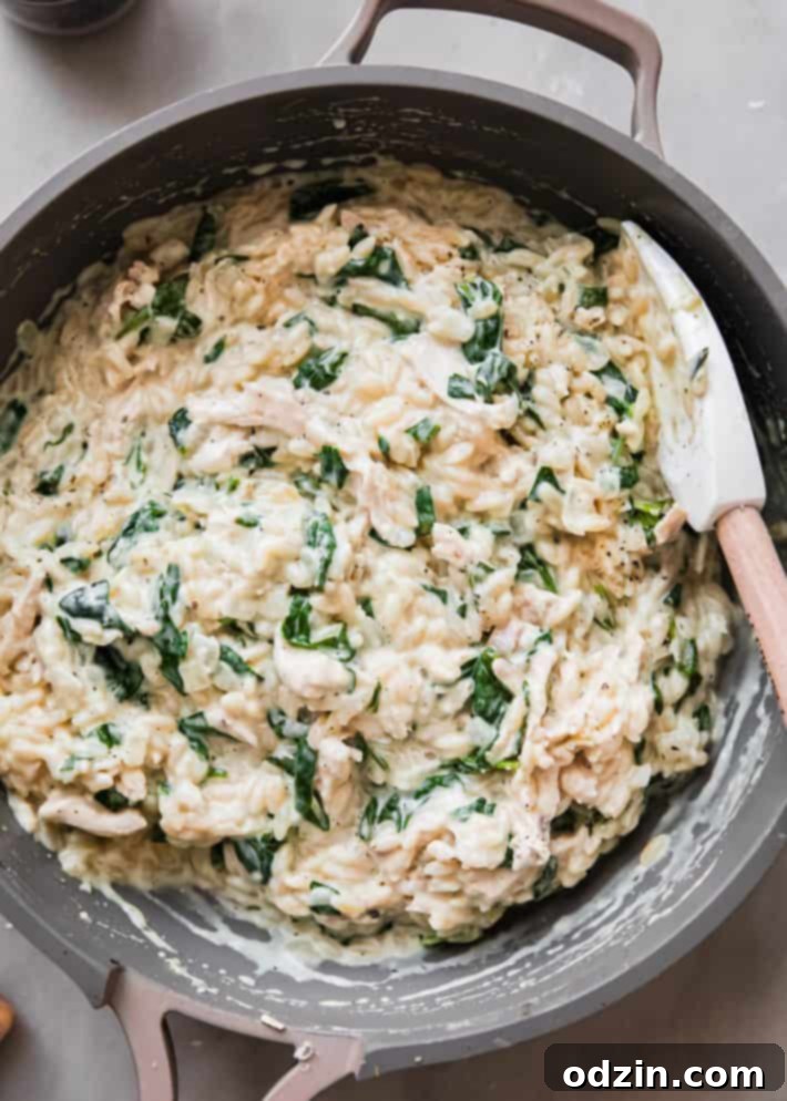 Creamy orzo pasta in a pan with a spatula, showcasing its perfect consistency.