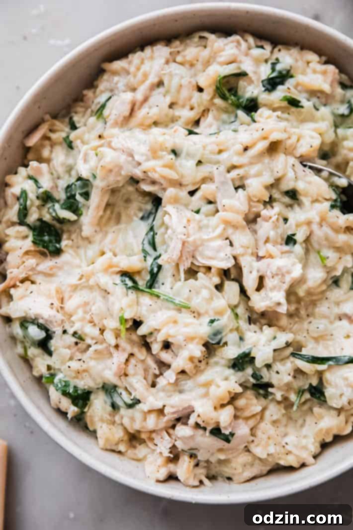 Delicious orzo with Boursin cream sauce, baby spinach, and shredded chicken in a white bowl.