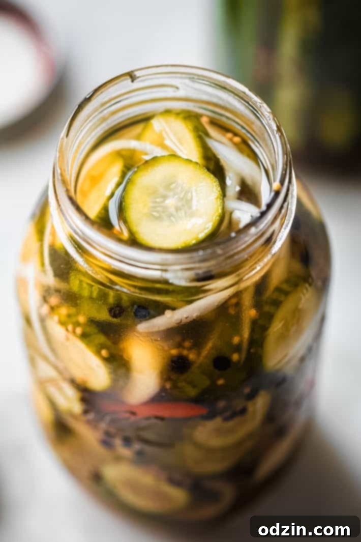 pickle chips in jar with onions, red chilies, and black peppercorn