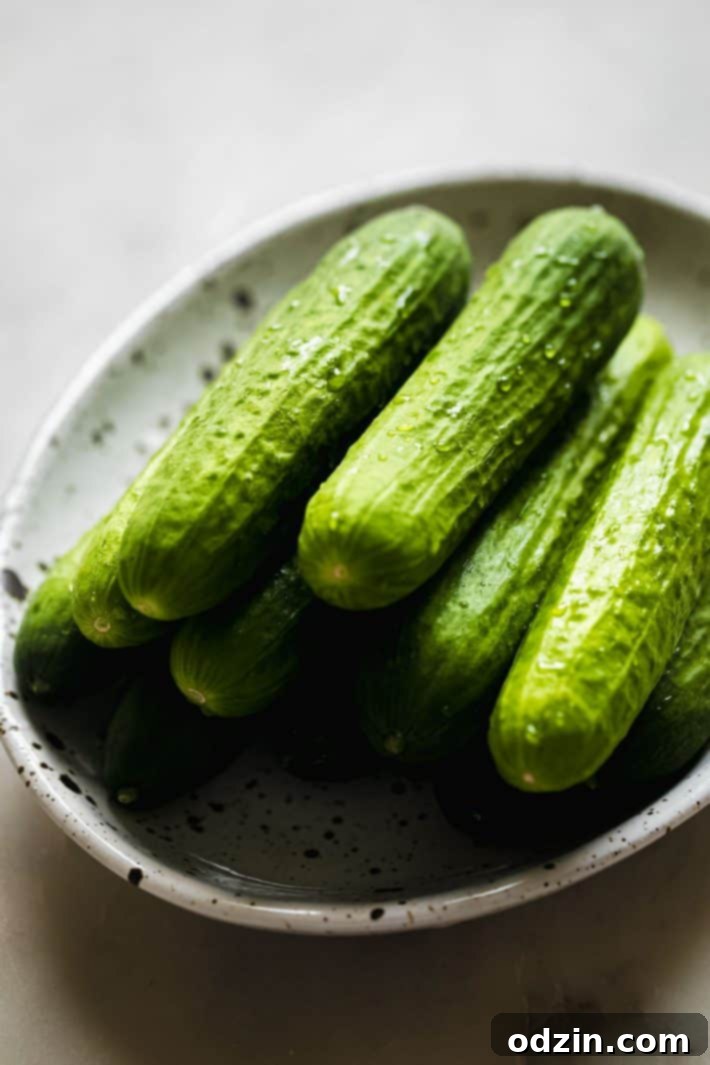 pickles on speckled plate