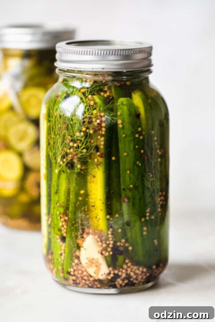 jar with cucumber spears, fresh dill, garlic, mustard seeds, peppercorns, and red pepper flakes