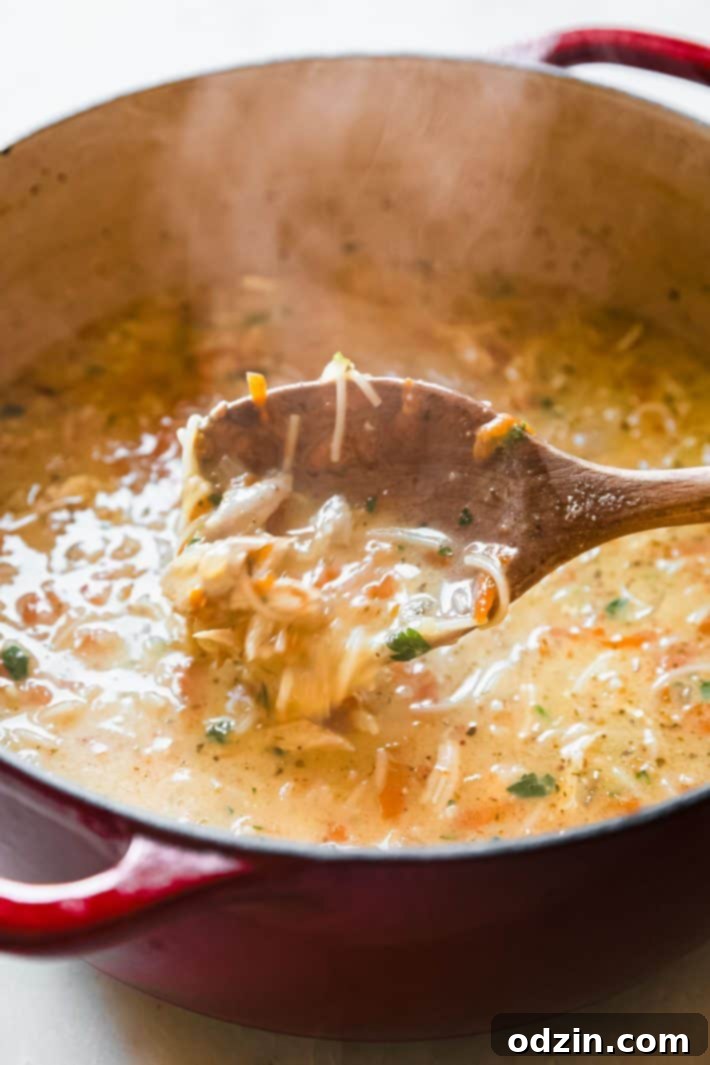 Traditional Turkish Chicken Noodle Soup 3 chicken noodle soup in dutch oven
