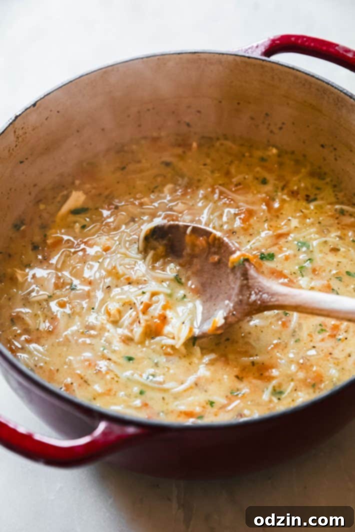 Traditional Turkish Chicken Noodle Soup 6 Turkish chicken noodle soup in dutch oven with spoon