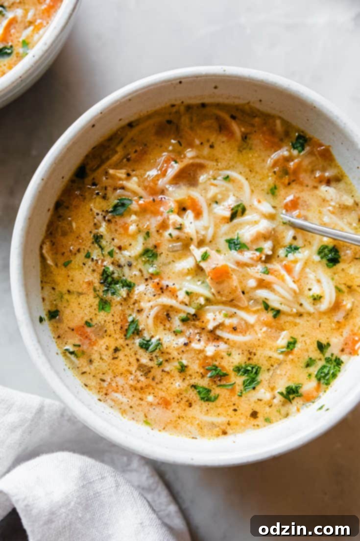 Turkish Chicken Soup with Noodles (Tavuk Çorbası)