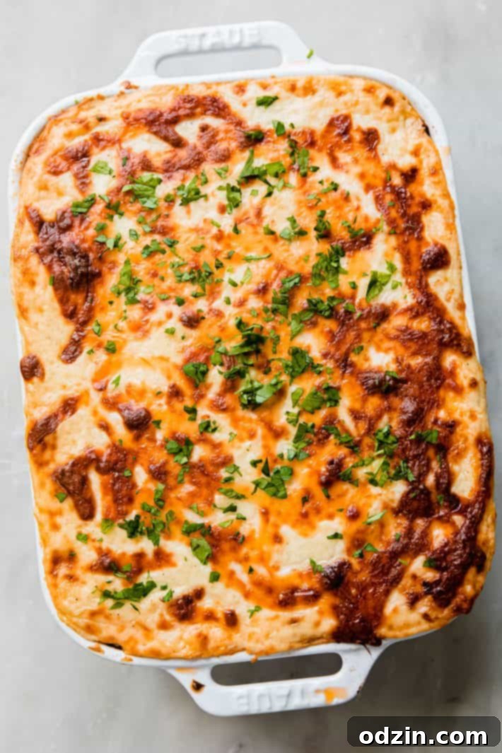 Egyptian Béchamel Macaroni Bake 2 A baking dish filled with Egyptian Macarona Bechamel, showcasing a golden-brown béchamel topping with melted mozzarella cheese, ready to be served.