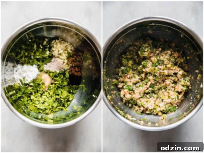 chicken wonton mixture in bowl