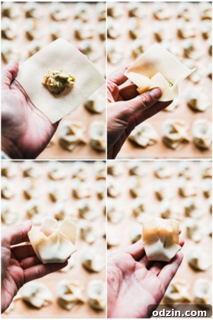 wrapping wontons step by step