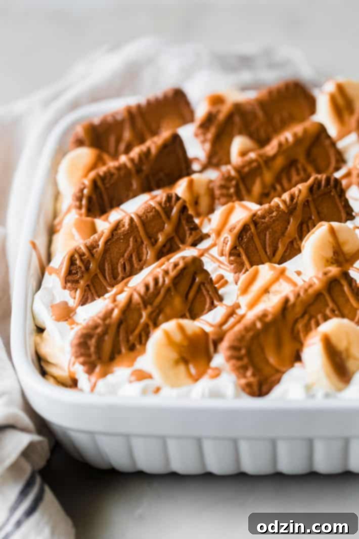 Biscoff banana pudding topped with a generous cookie butter drizzle and whole Biscoff cookies