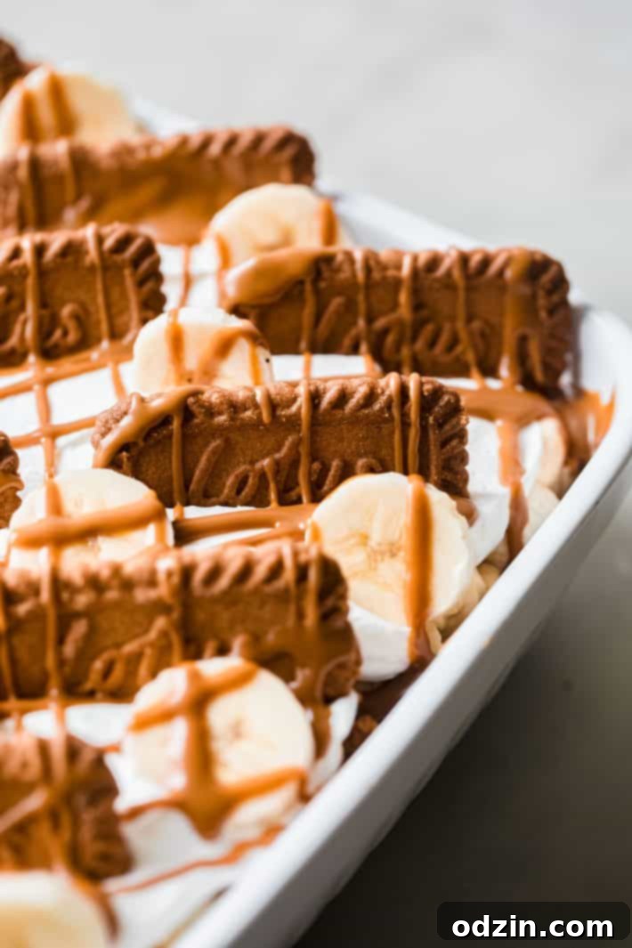 Layers of Lotus Biscoff cookies, banana slices, and cookie butter drizzle within a dessert dish