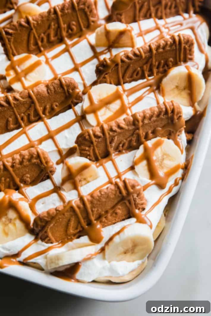 Top view of Biscoff banana pudding garnished with whipped cream, banana slices, whole Biscoff cookies, and cookie butter drizzle