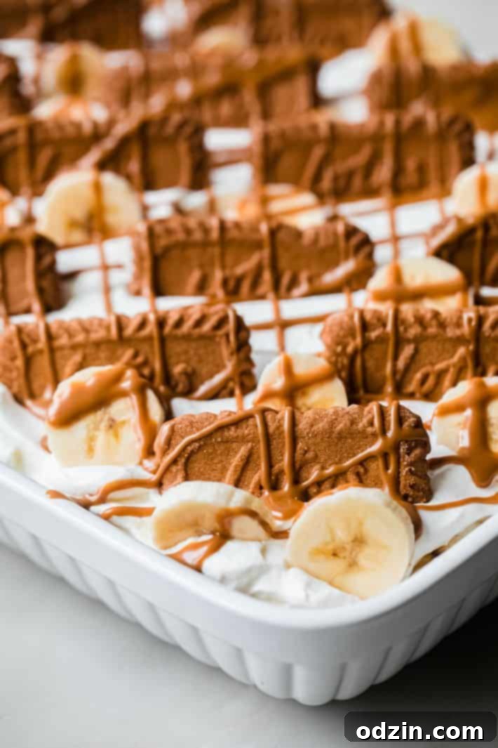 Overhead shot of Biscoff cookie butter banana pudding topped with Lotus cookies and a rich drizzle