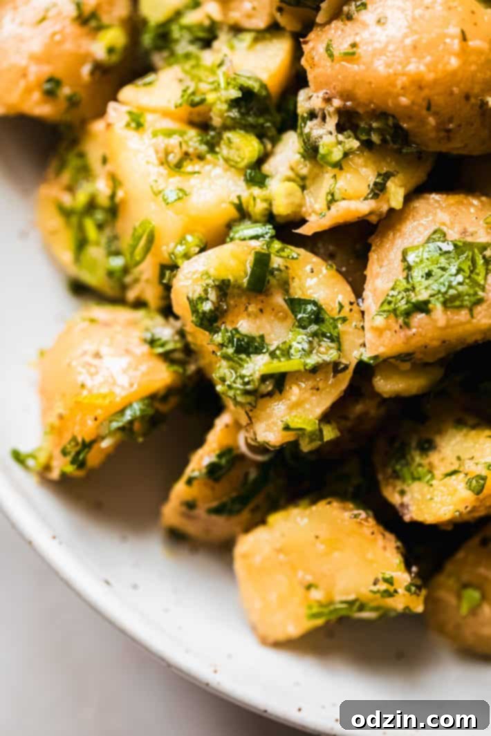 no mayo potato salad close up