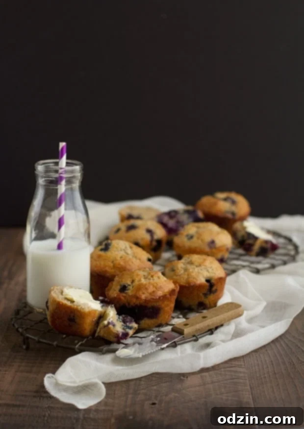 Bakery Style Blueberry Muffins