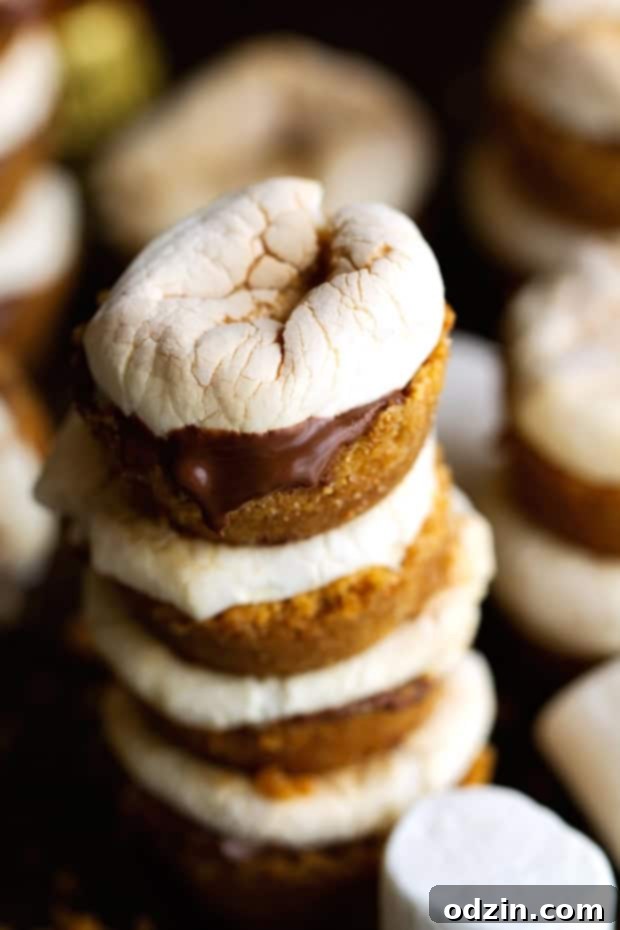 Peanut Butter Stuffed S'mores Bites
