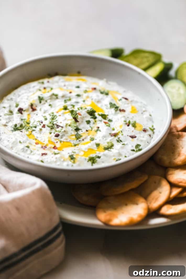 labneh dip in bowl topped with chopped cilantro