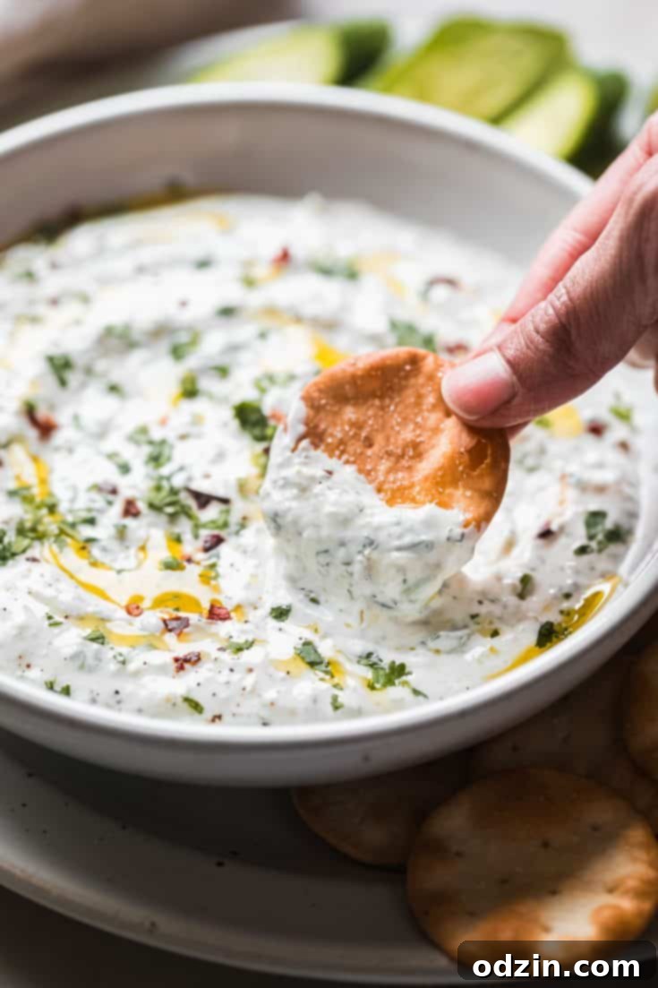 Roasted Jalapeno Garlic Labneh Dip