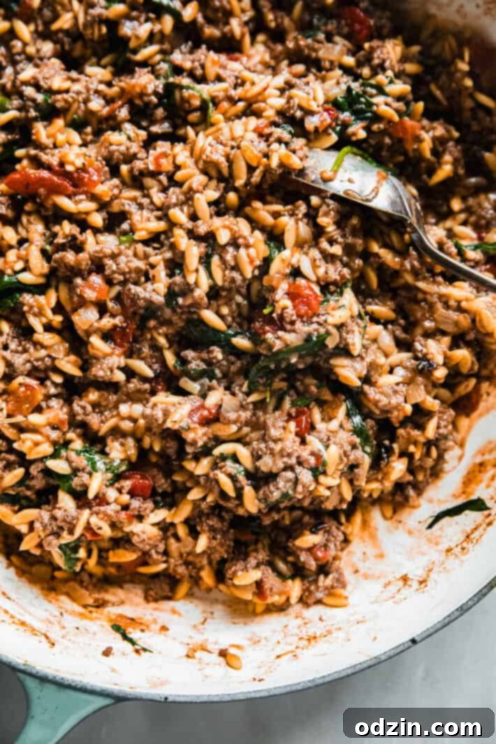 ground beef orzo in cast iron pan with spoon