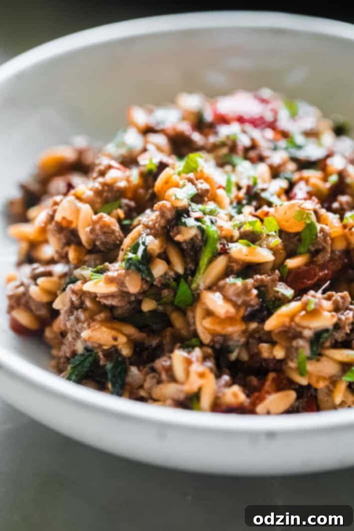 orzo and ground beef hash in bowl with parsley on top