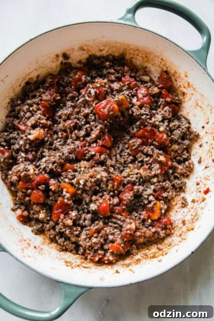 ground beef and tomatoes cooked in pan