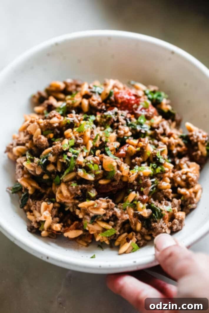 bowl of orzo and beef with hand holding bowl