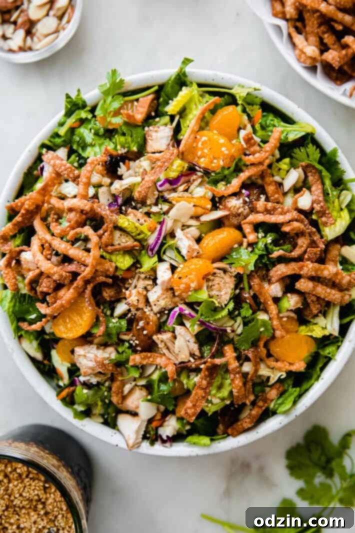 A top-down view of the Asian Sesame Chicken Salad showing the arrangement of ingredients.