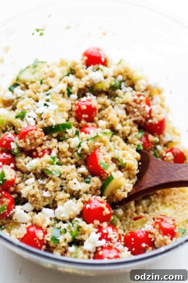 Summer Tomato and Cucumber Quinoa Salad