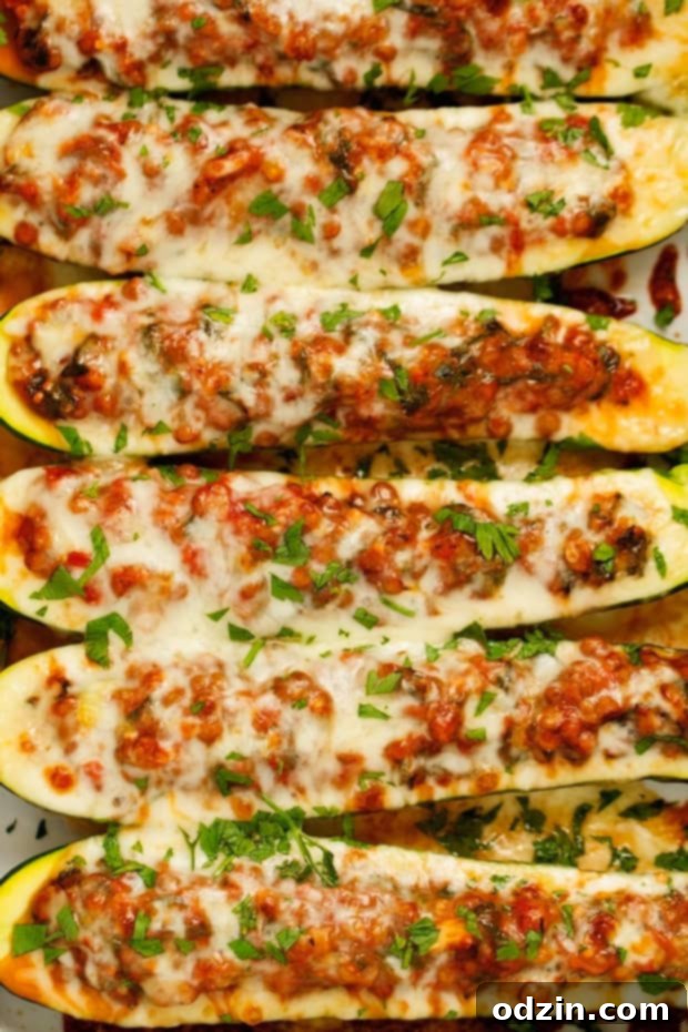 Lentil Stuffed Zucchini Boats, a delightful vegetarian dish