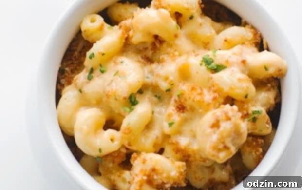 Close-up of creamy mac and cheese with melted cheese and crispy panko