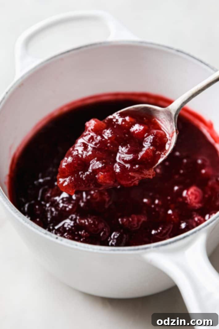 cranberry sauce on spoon from saucepan
