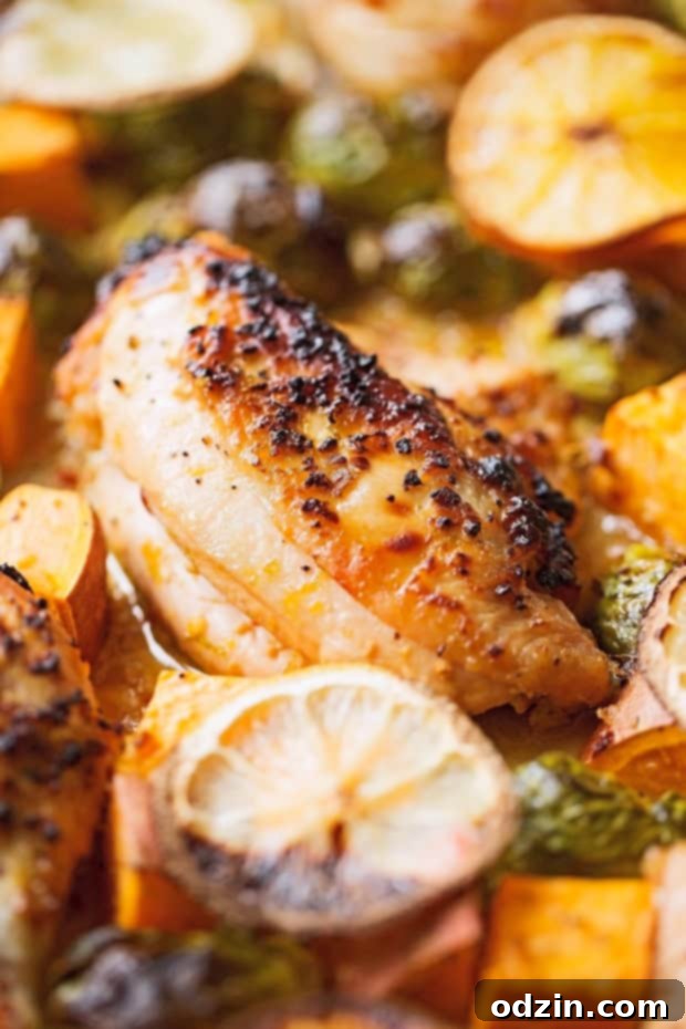 One Sheet Pan Garlic and Citrus Chicken with Brussel Sprouts and Sweet Potatoes
