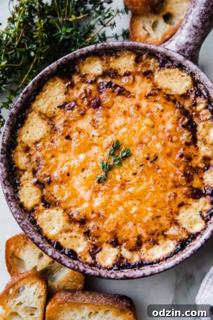 Warm Jammy Caramelized Onion and Gruyere Dip 3 gruyere crusted onion dip on marble with toasted bread