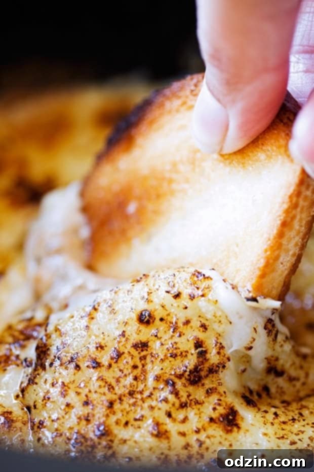 Warm Jammy Caramelized Onion and Gruyere Dip 4 bread dipped into gruyere onion dip