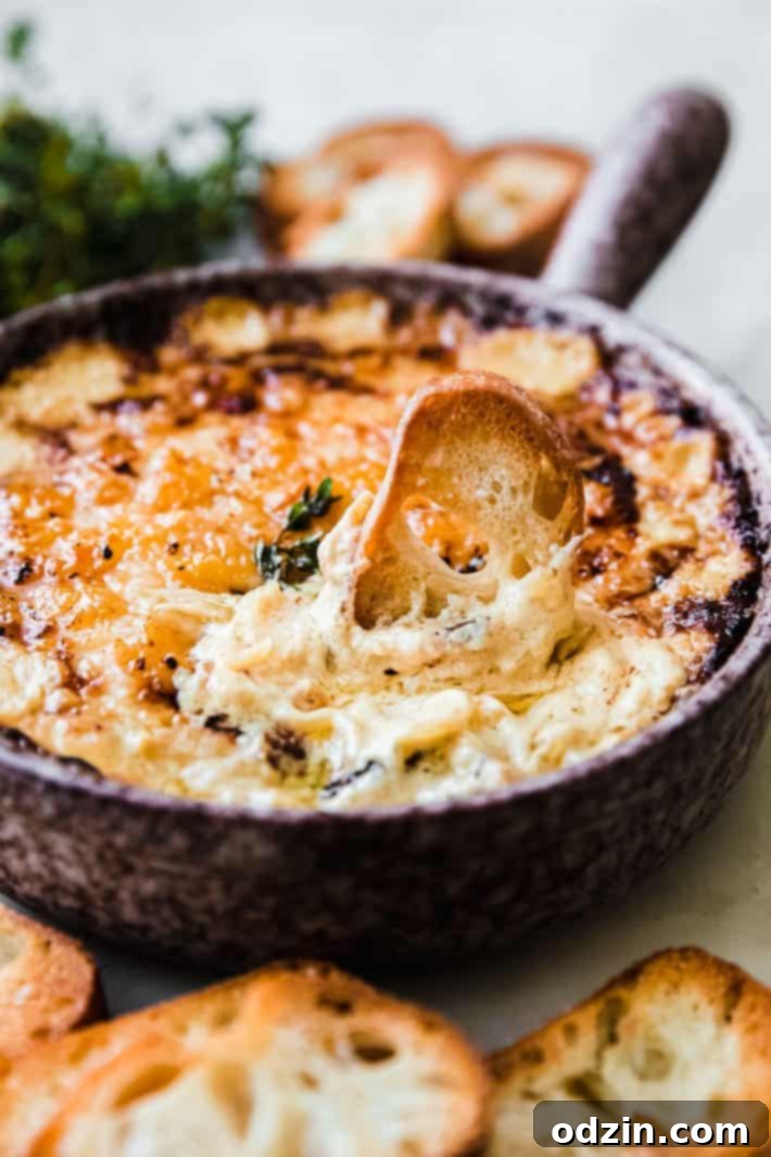 Warm Jammy Caramelized Onion and Gruyere Dip 5 toasted bread in dip