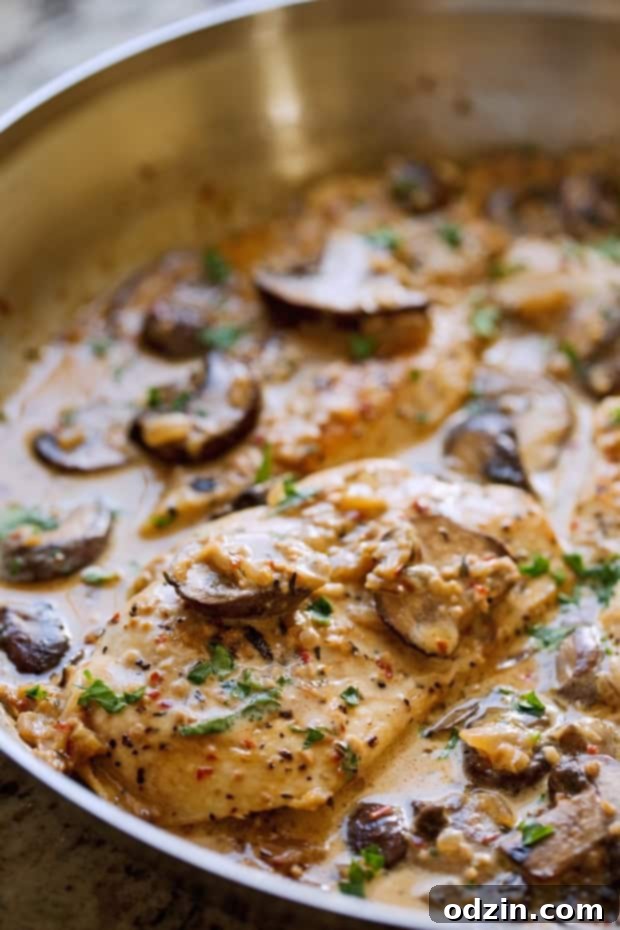 One Skillet Chicken with Garlicky Mushroom Cream Sauce