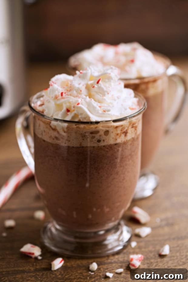 The best Slow Cooker Peppermint Hot Chocolate recipe from Little Spice Jar