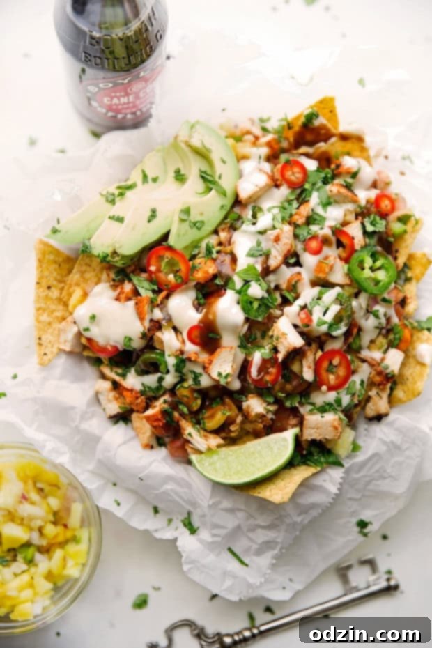 Loaded Tandoori Chicken Nachos