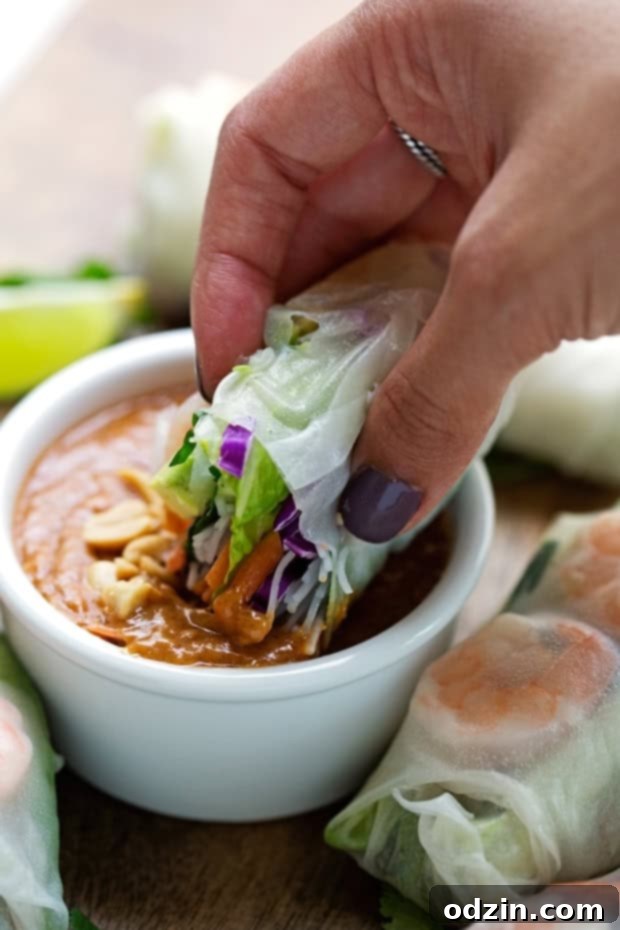 Vietnamese Fresh Spring Rolls - homemade spring rolls made easy! Watch the video and learn how to make these quickly and easily at home! #springrolls #freshspringrolls #summerrolls #vietnamesespringrolls | Littlespicejar.com