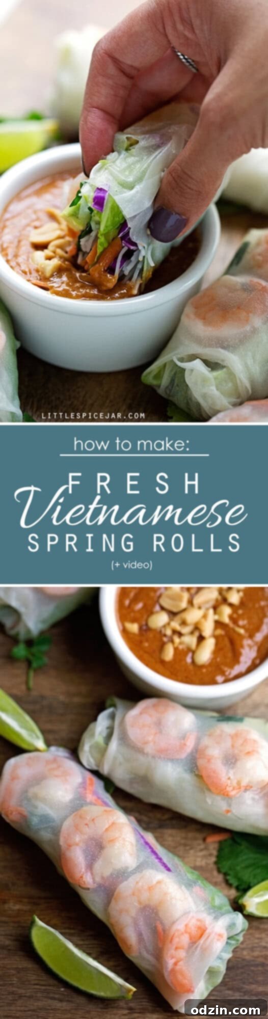Vietnamese Fresh Spring Rolls - homemade spring rolls made easy! Watch the video and learn how to make these quickly and easily at home! #springrolls #freshspringrolls #summerrolls #vietnamesespringrolls | Littlespicejar.com Vietnamese Fresh Spring Rolls - homemade spring rolls made easy! Watch the video and learn how to make these quickly and easily at home! #springrolls #freshspringrolls #summerrolls #vietnamesespringrolls | Littlespicejar.com