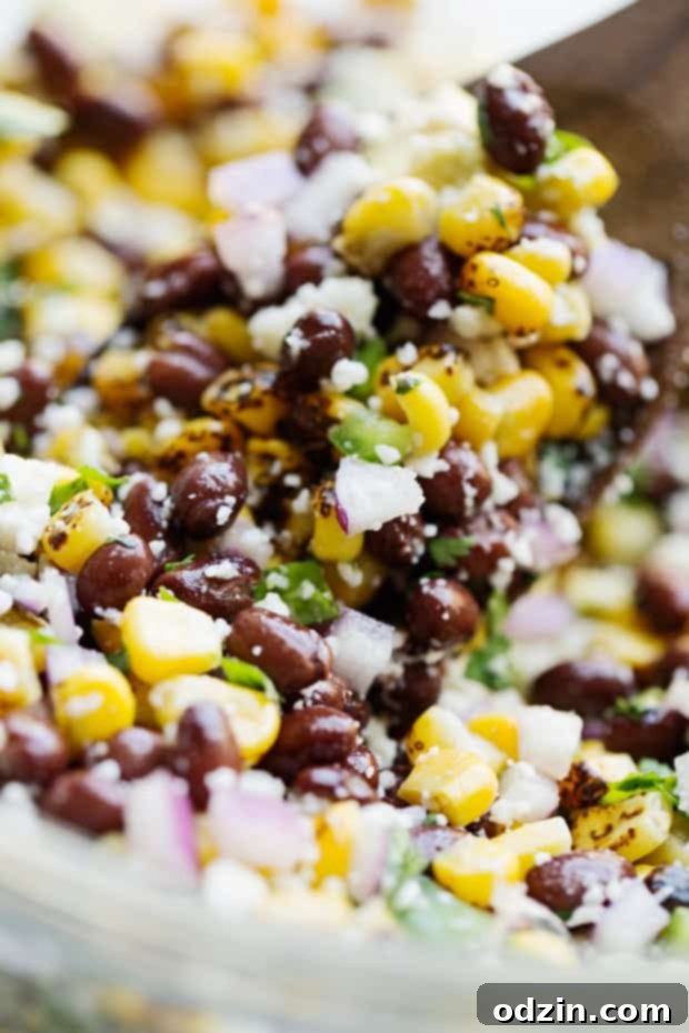Mexican Street Corn Salad - The perfect summer corn salad with lots of fresh ingredients tossed in a light homemade dressing! #vegetarian #cornsalad #mexicanstreetcorn #streetcornsalad | Littlespicejar.com Mexican Street Corn Salad - The perfect summer corn salad with lots of fresh ingredients tossed in a light homemade dressing! #vegetarian #cornsalad #mexicanstreetcorn #streetcornsalad | Littlespicejar.com